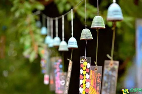 剧透 剧透 爱丽丝梦游仙境攻略曝光