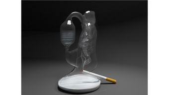 大运河文创产品设计 长信宫灯