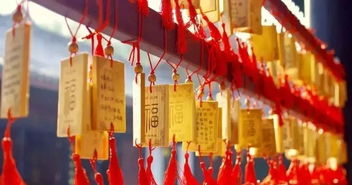 贵港人该怎么过元宵 这份最新攻略请收好