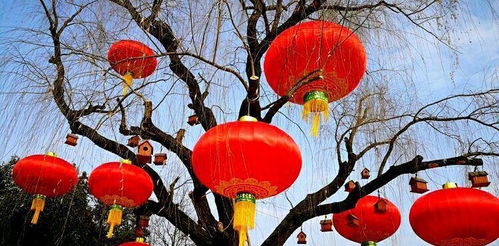 好产品引来 金凤凰 陕西凤翔宫灯畅销大江南北